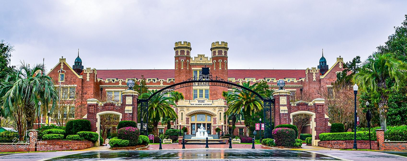 Everything You Need to Know About University of Florida